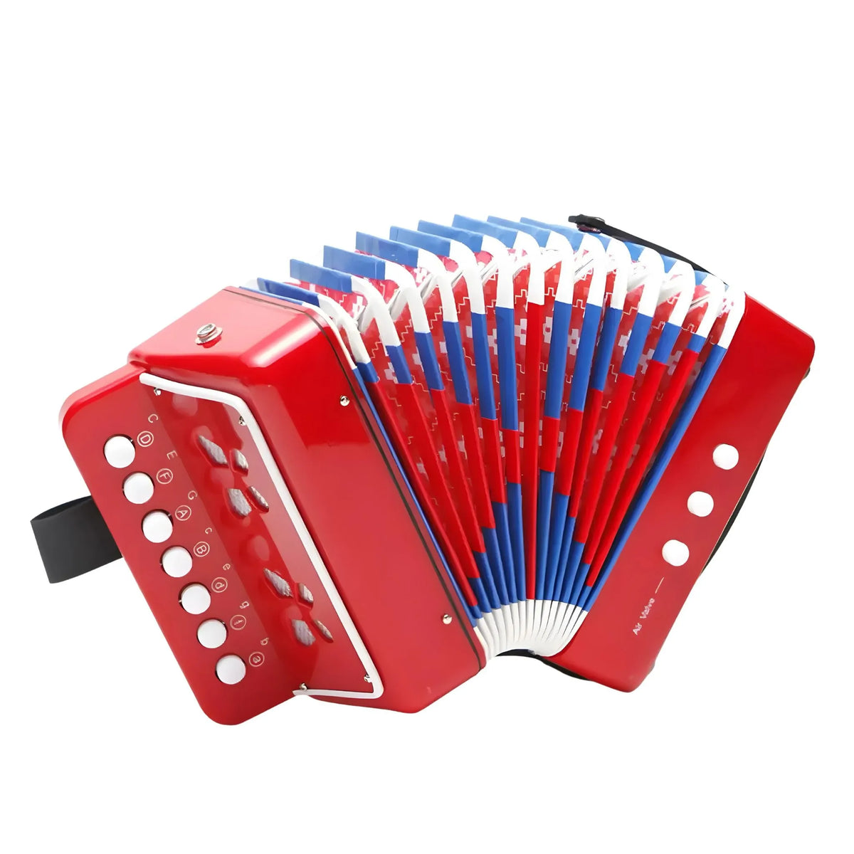 Acordeão Notas Encantadas