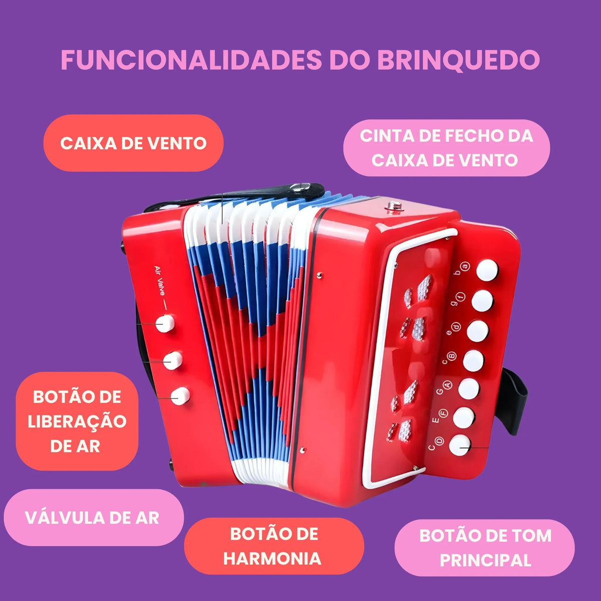 Acordeão Notas Encantadas