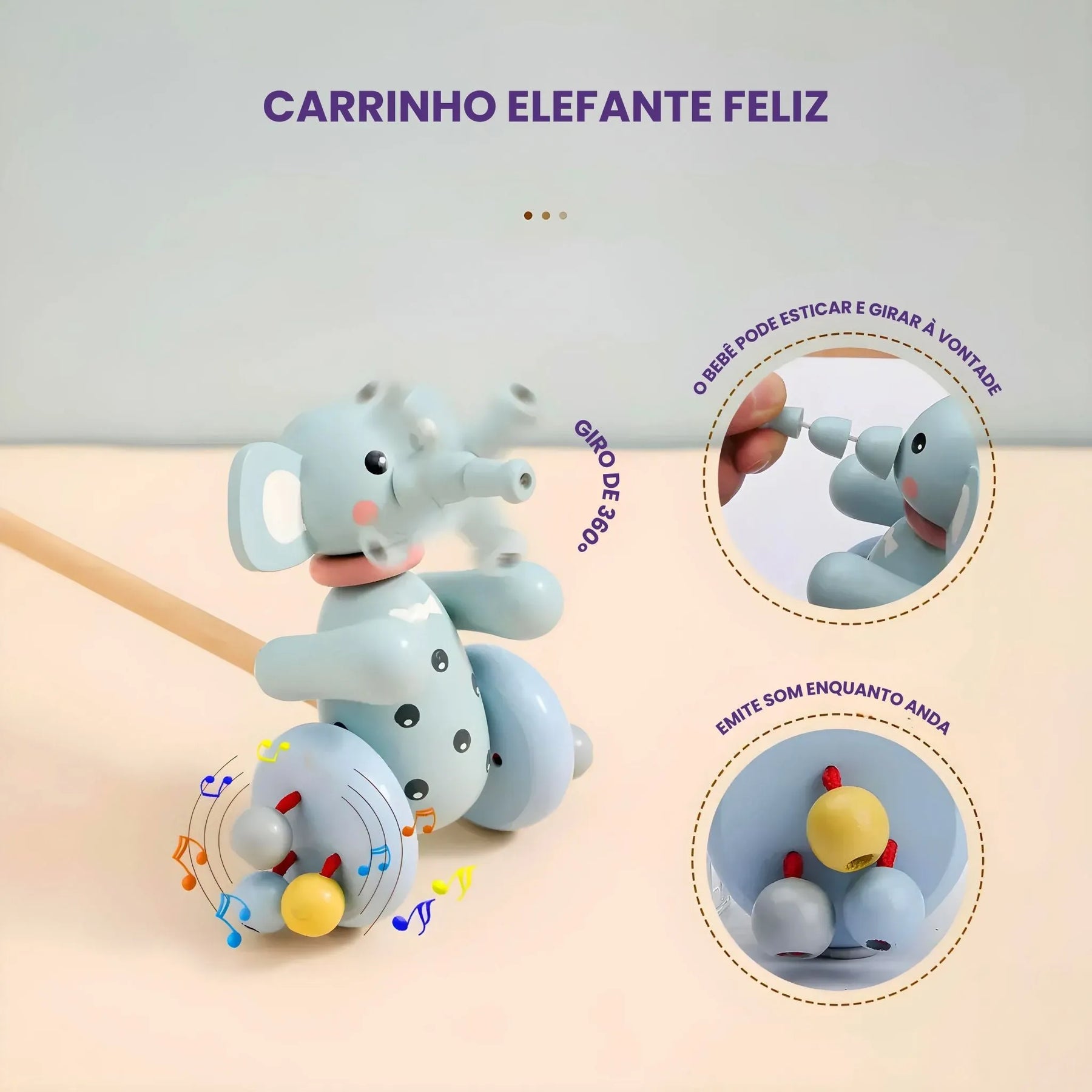 Bichinhos de Rodinhas