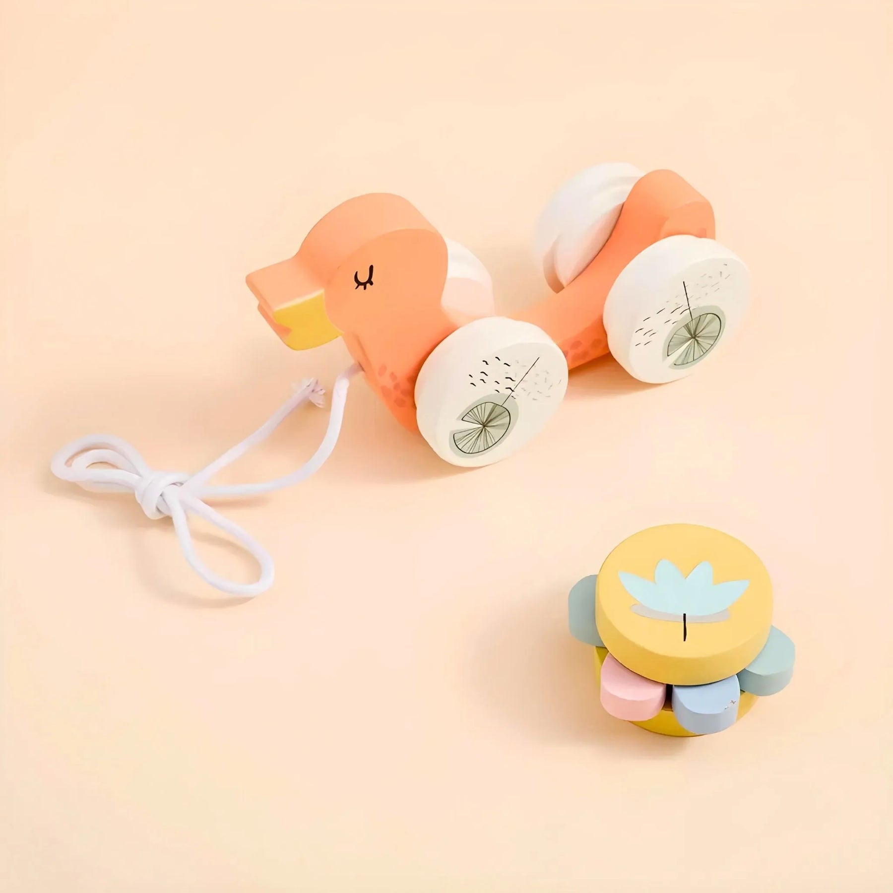 Bichinhos de Rodinhas